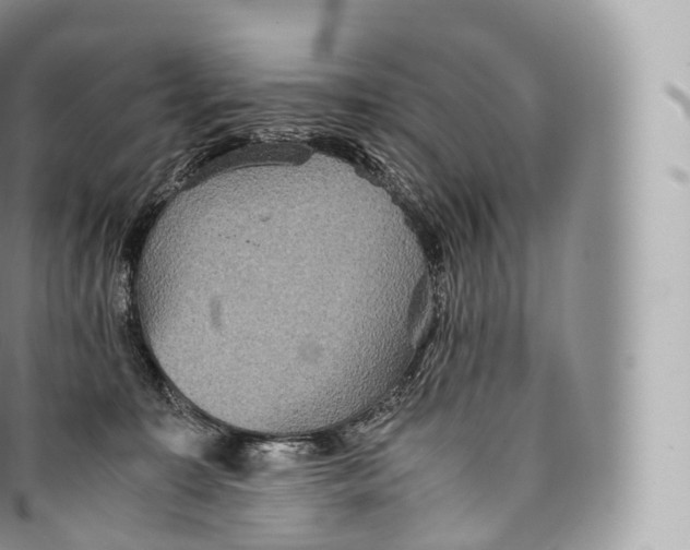 X0000096480323200802141728