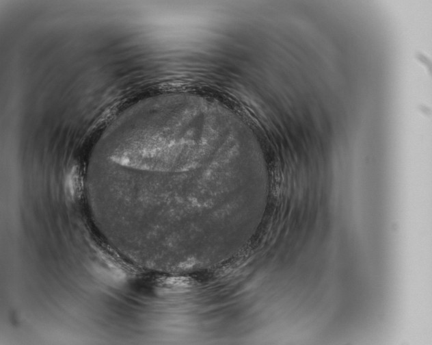 X0000096480324200802141728