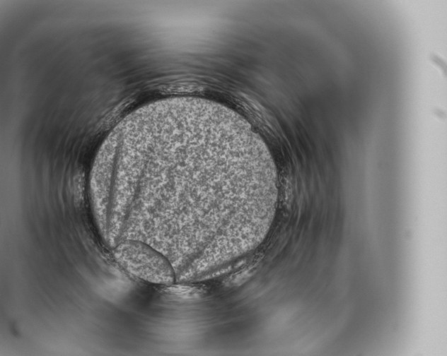 X0000096480326200802141728