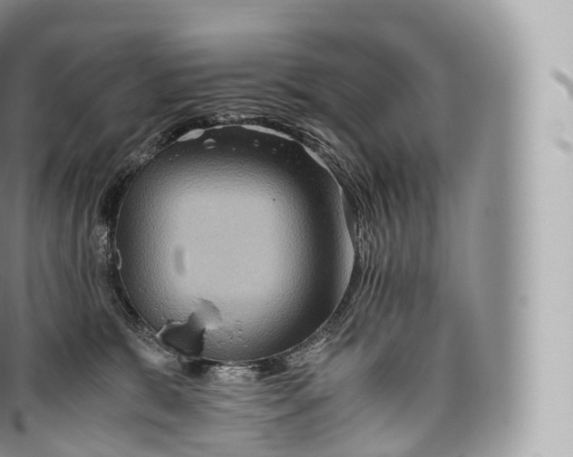 X0000096480327200802141728