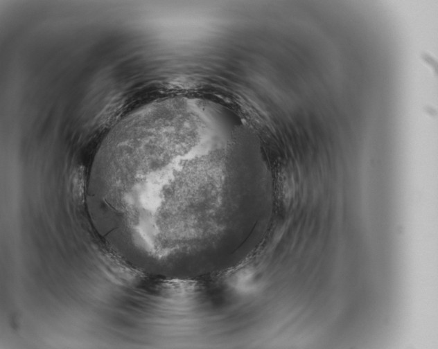 X0000096480328200802141728