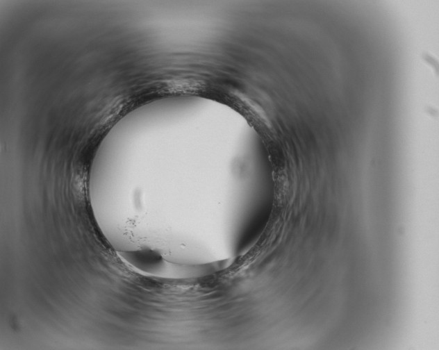 X0000096480329200802141728