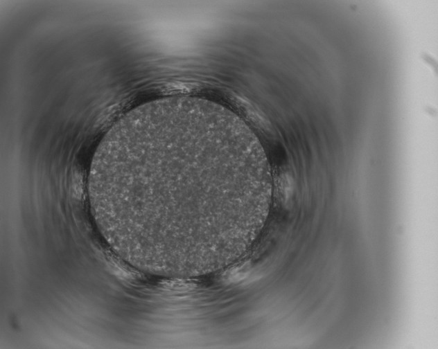 X0000096480331200802141728