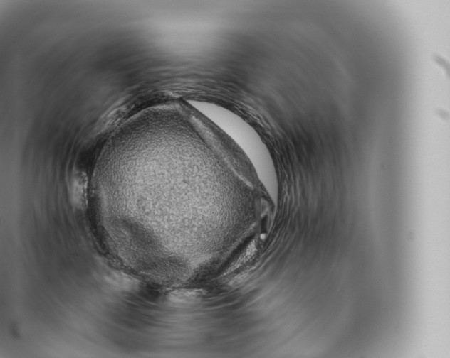 X0000096480332200802141728