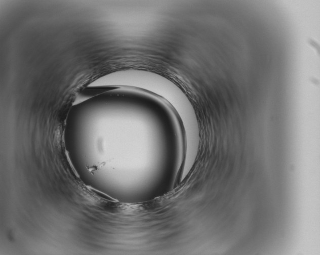 X0000096480333200802141728