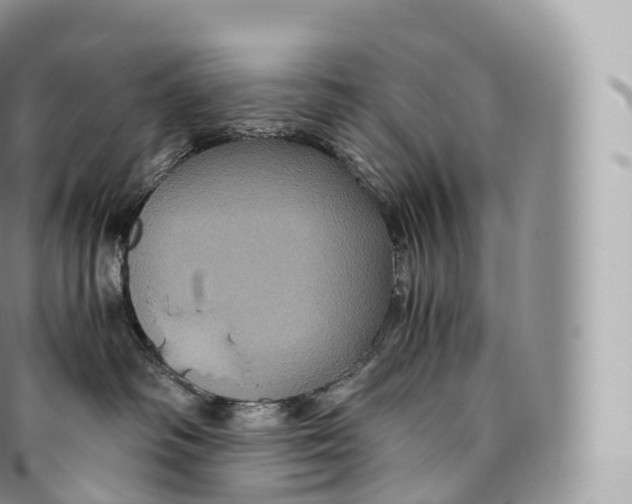 X0000096480334200802141727