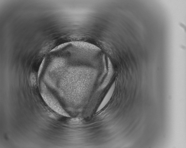 X0000096480335200802141727