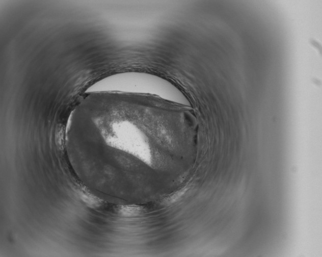 X0000096480336200802141727