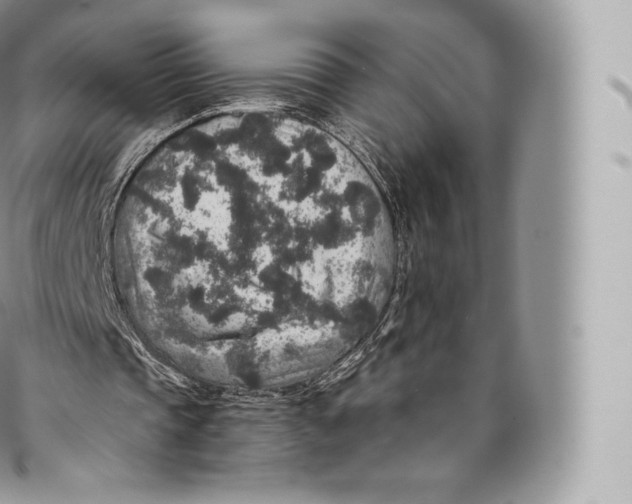 X0000096480337200802141727