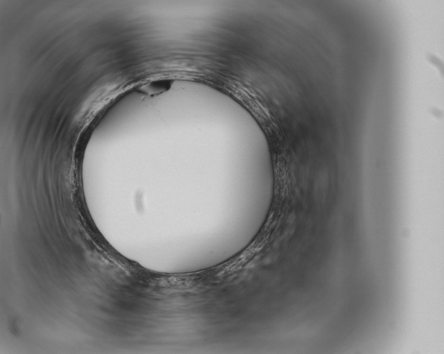 X0000096480338200802141727