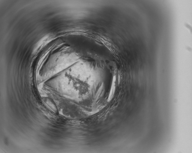 X0000096480339200802141727