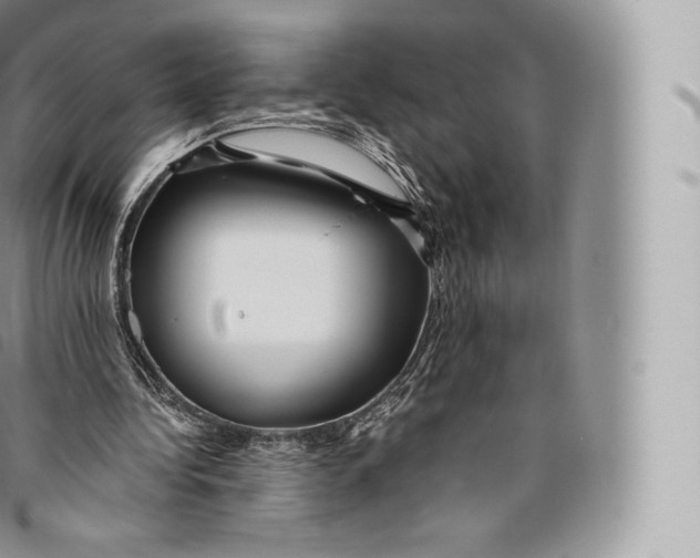 X0000096480340200802141727