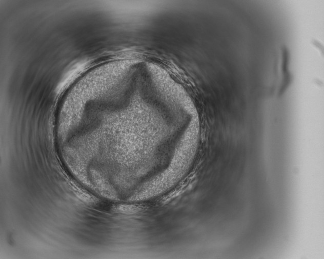 X0000096480341200802141727