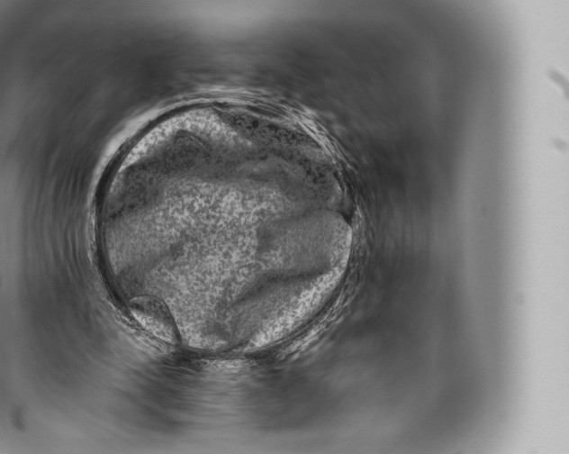 X0000096480342200802141727