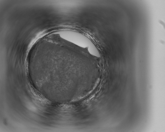 X0000096480343200802141727