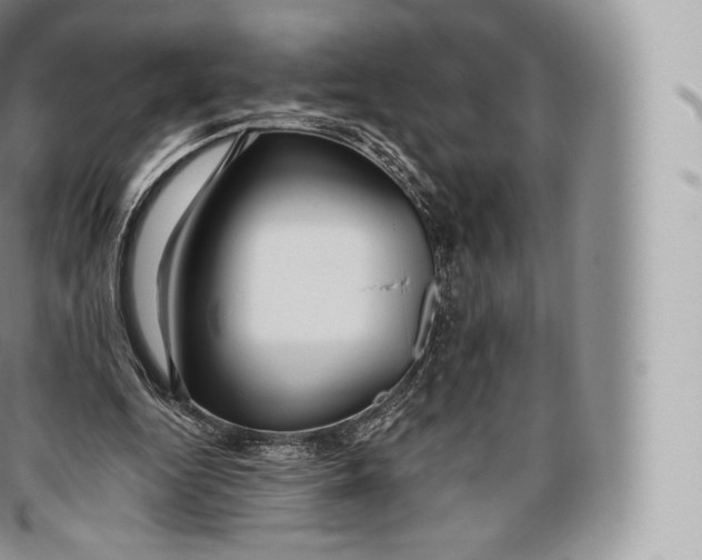 X0000096480344200802141727