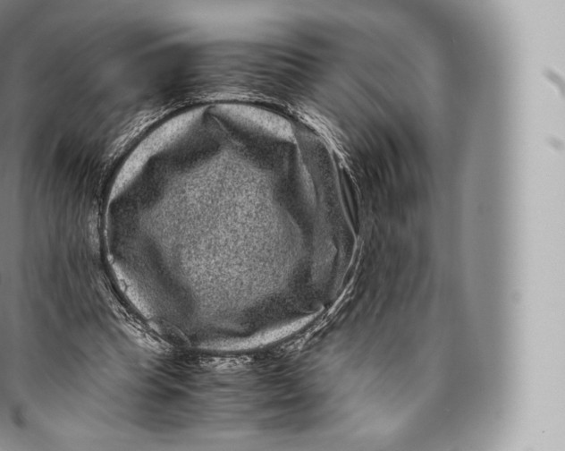 X0000096480345200802141727