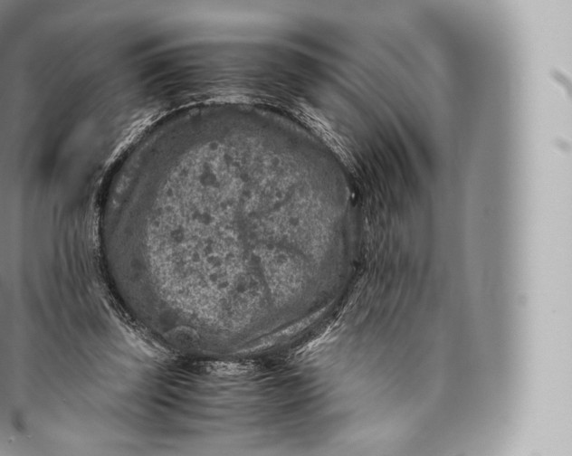 X0000096480347200802141727