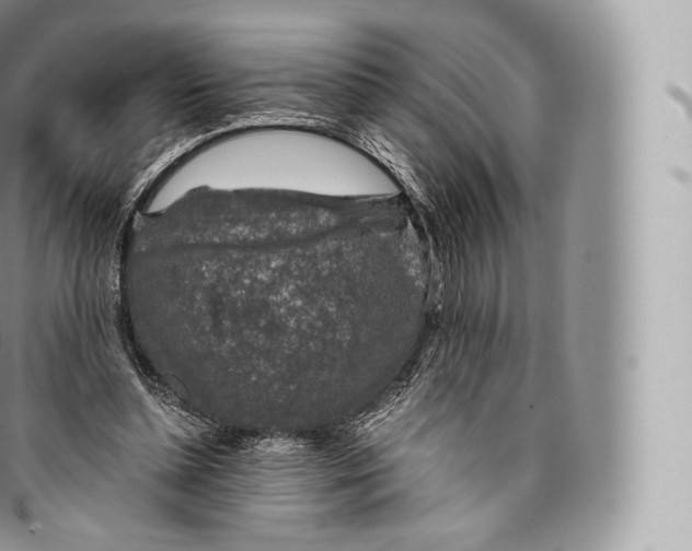 X0000096480348200802141727