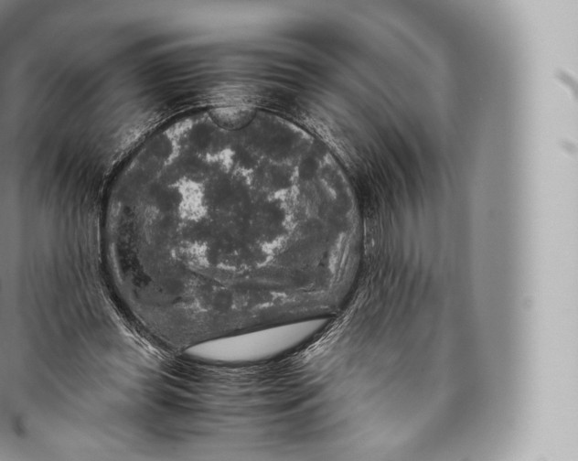 X0000096480349200802141727