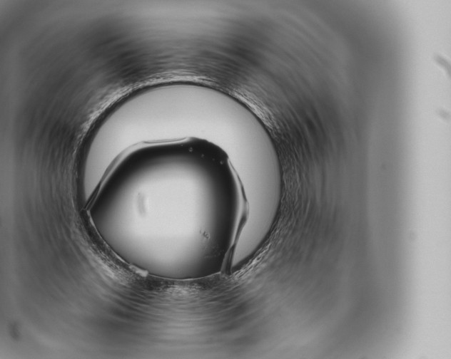 X0000096480350200802141727