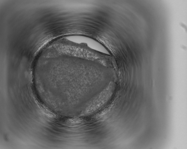 X0000096480351200802141727