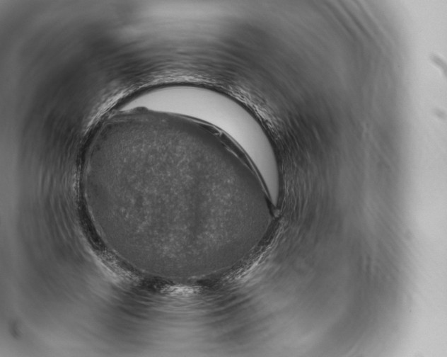 X0000096480352200802141727