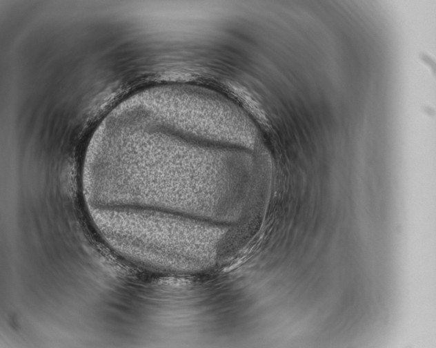 X0000096480354200802141727