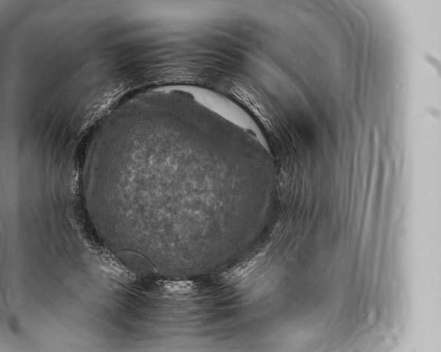 X0000096480355200802141727