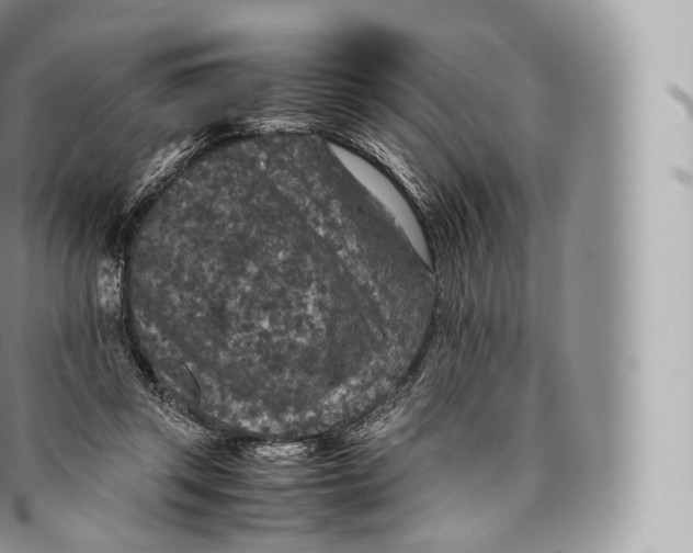 X0000096480357200802141727