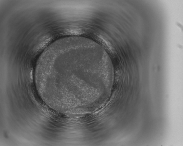 X0000096480358200802141727