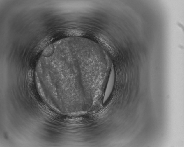 X0000096480359200802141727