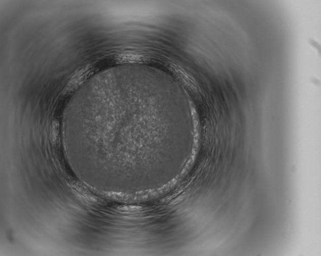 X0000096480361200802141727