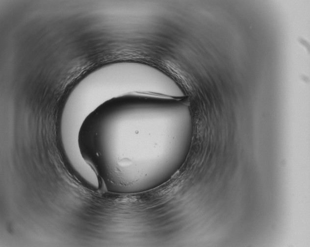 X0000096480362200802141727