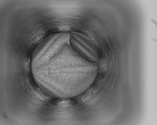 X0000096480364200802141727