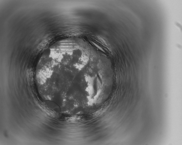 X0000096480366200802141727