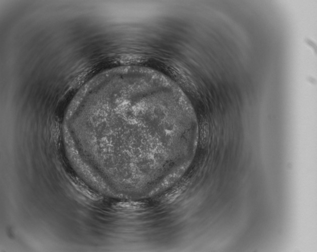 X0000096480367200802141727