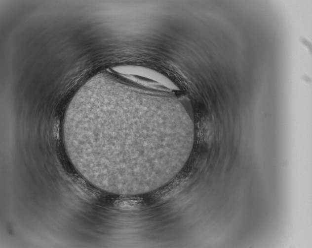 X0000096480368200802141727