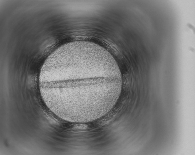 X0000096480369200802141727