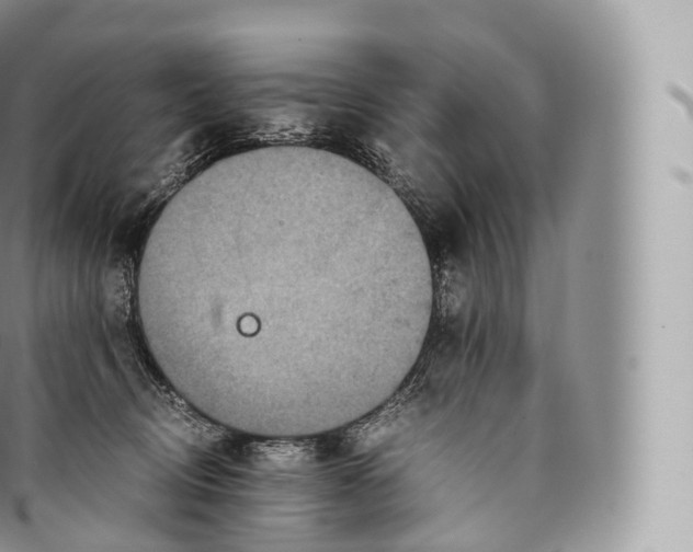 X0000096480370200802141727