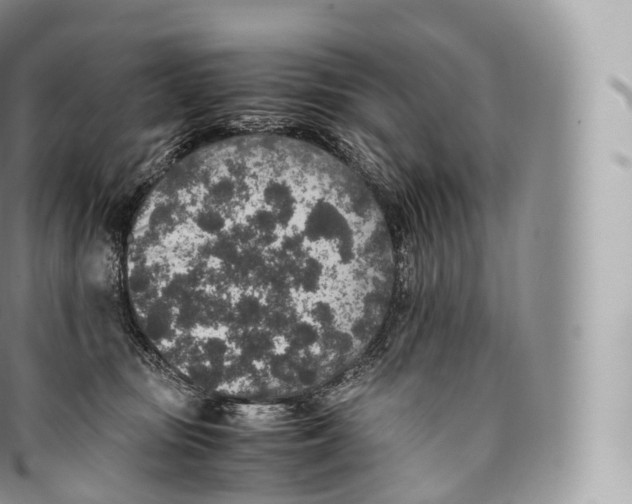 X0000096480371200802141727