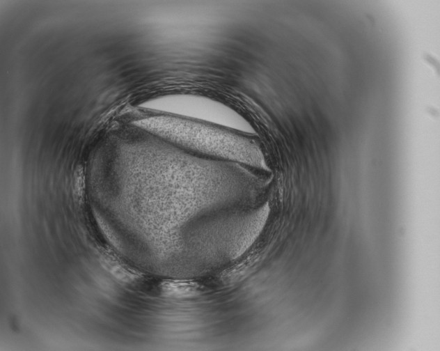 X0000096480372200802141727