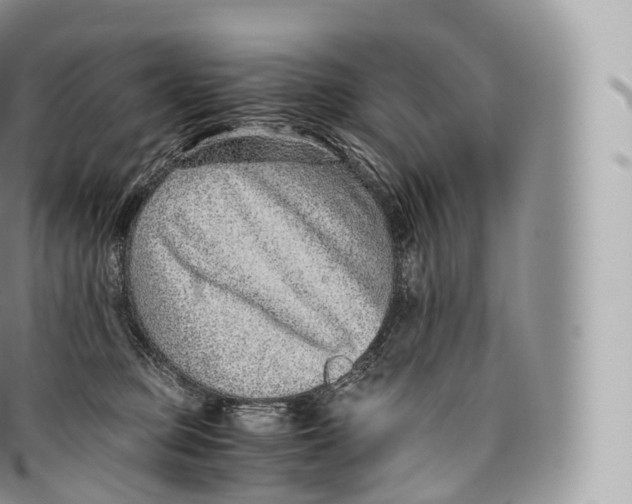 X0000096480373200802141727