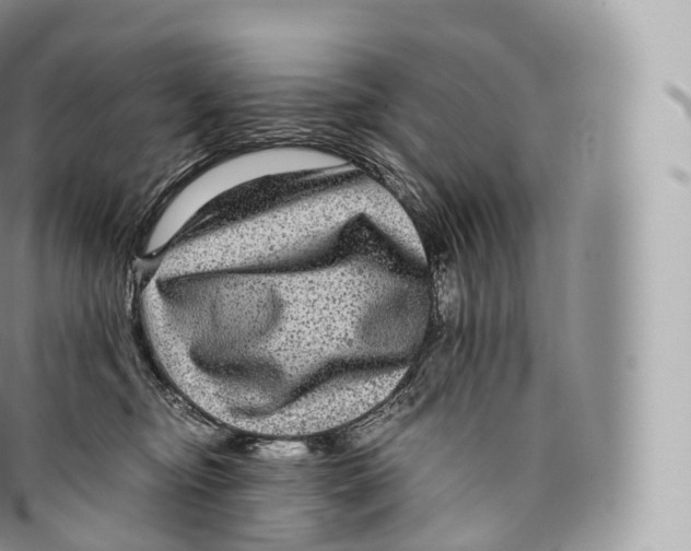 X0000096480374200802141727