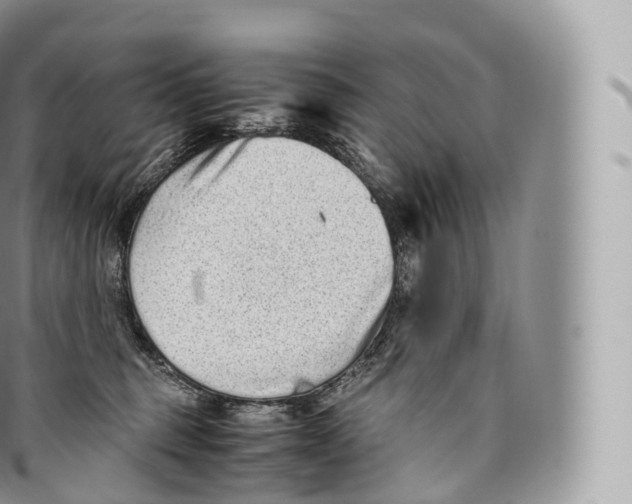 X0000096480375200802141727