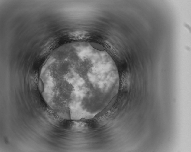 X0000096480376200802141727