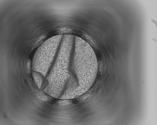 X0000096480378200802141727