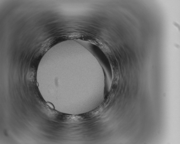 X0000096480379200802141727