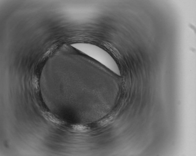 X0000096480380200802141727