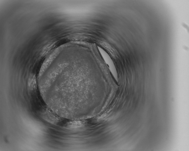 X0000096480381200802141727